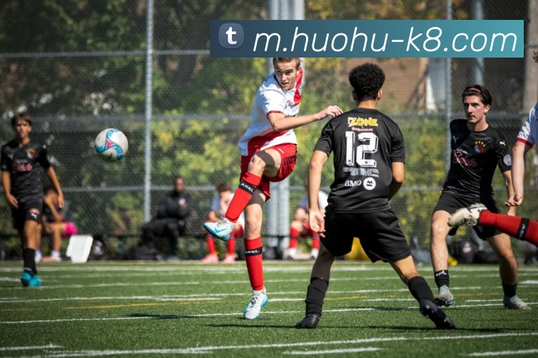 App Interface Preview